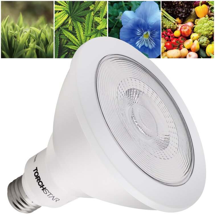 TORCHSTAR 16.5W PAR38 LED Plant Grow Light Bulb for Indoor